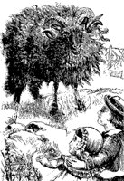sheep_11323_md.gif