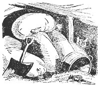 rat_11332_sm.gif