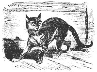 cat_11333_sm.gif