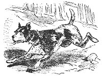 dog_11334_sm.gif