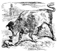 cow_11335_lg.gif
