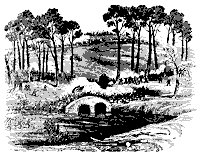 antietam_11388_sm.gif