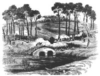 antietam_11388_lg.gif