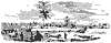 birds-point_11392_th.gif