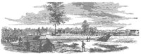 birds-point_11392_md.gif
