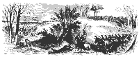 pocotaligo_11398_sm.gif