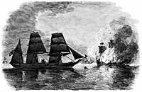 pirate-decoy_11543_sm.gif