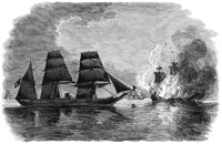pirate-decoy_11543_lg.gif