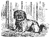 dog_11547_th.gif