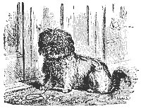 dog_11547_sm.gif