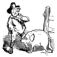 pig_11569_lg.gif