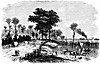 providence_11599_th.gif