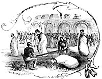 sack-race_11607_sm.gif