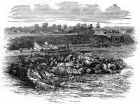 battle-corin_11658_lg.gif