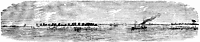 advance-char_11661_sm.gif
