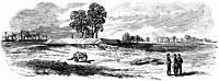 fenwick_11671_sm.gif