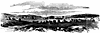 culpepper_11709_th.gif