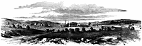 culpepper_11709_sm.gif