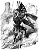 capture-flag_11738_th.gif