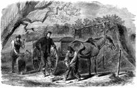 horseshoe_11751_md.gif