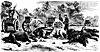 caiss-horse_11755_th.gif