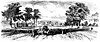newiberia_11770_th.gif