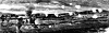confed-army_11808_th.gif