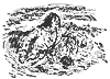 shipwrecked_11859_th.gif
