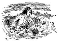 shipwrecked_11859_lg.gif