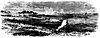 laf-parish_11862_th.gif
