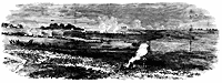 laf-parish_11862_sm.gif