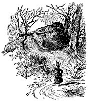 spyglass_11876_sm.gif