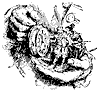 pocketwatch_11882_th.gif