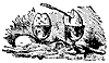 eggs_11906_th.gif