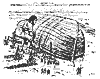 boat_11925_th.gif