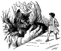 cat_11988_lg.gif