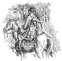 horseback_11992_md.gif