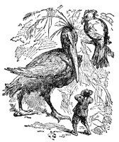bird_12000_lg.gif