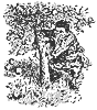 appletree_12002_th.gif