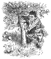 appletree_12002_md.gif