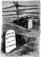 chapmangrave_12282_lg.gif