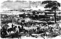 2bullrun_12354_sm.gif