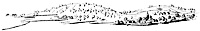 charlestown_12659_sm.gif
