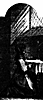 grey-nun_12973_th.gif