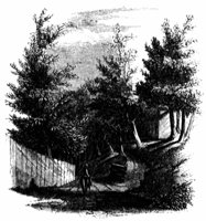 wolfe-ravine_12985_md.gif