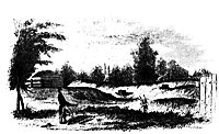 newfort_13398_sm.gif