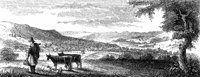 cherry-vall_13460_lg.gif