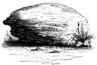 brants-rock_13461_md.gif