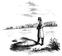 esther-rock_13501_md.gif