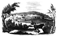 bennington_13512_sm.gif